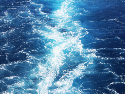 Blue Ocean Leadership: Creating, Shifting, and Sustaining Strategic Advantage Beyond Competition